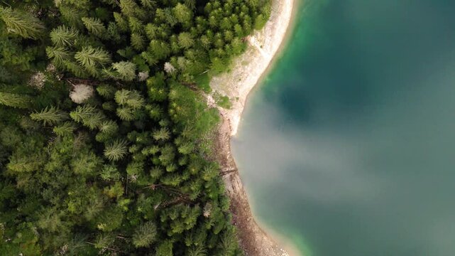 Aerial Top Forward Shot Of Green Trees In Forest By Rippled Lake - Durmitor, Montenegro