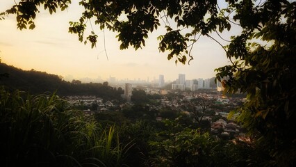 sunset in the forest