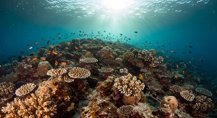 Vibrant Coral Reef Ecosystem: Underwater Paradise with Sunbeams and Diverse Marine Life
