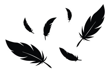 Floating black feather shapes elegantly scatter across the pure white background, creating a minimalist aesthetic