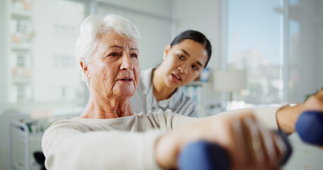 Physiotherapy, weights and woman with senior patient for medical service, support and wellness....