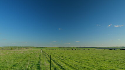 A Vast Green Pasture Spreading Out Under a Clear Blue Sky with Absolutely No Clouds in Sight