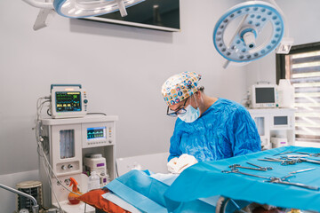 Veterinarian wearing a surgical mask and gown, skillfully performing surgery on an animal in a sterile operating room environment