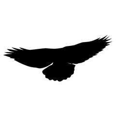 A stark black silhouette of a bird with outstretched wings in flight