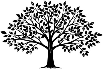 Obraz premium Side profile silhouette of young sapling plant with transparent background, sapling, young, plant, tree, growth, side profile, silhouette, outline, vector, graphic, illustration, design, nature, envir