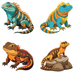 Obraz premium Ornate Uromastyx set lizard with its distinct spiky tail, sitting calmly against a white background. Spiny-tailed Lizard isolated on white background 