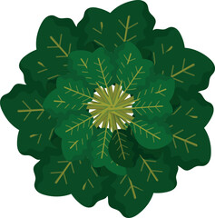 Decorative circular frame made of green kale leaves. Great for logos, labels, invitations and botanical-themed compositions.