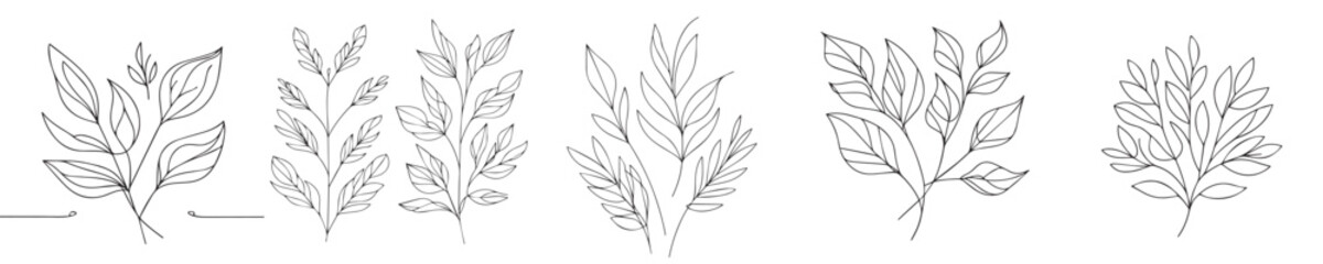 leaf vector with continuous line style