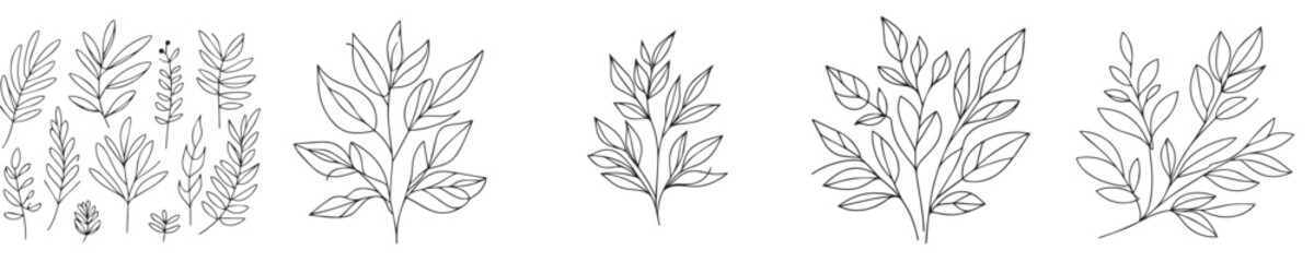 leaf vector with continuous line style