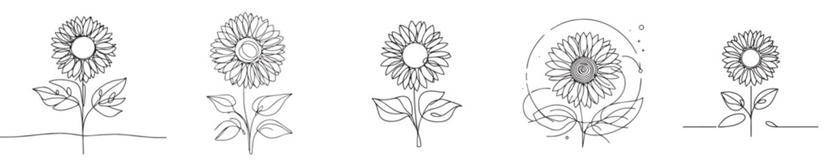 sunflower vector with continuous line style
