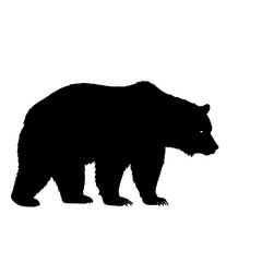 Fototapeta premium A strong black silhouette of a bear, possibly a grizzly or black bear, standing on all fours in profile. Ideal for wildlife, nature, or mascot designs.