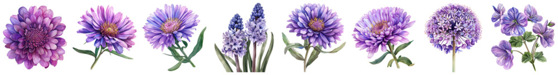 Beautiful array of purple flowers showcasing diverse shapes and textures, perfect for nature lovers and floral designs