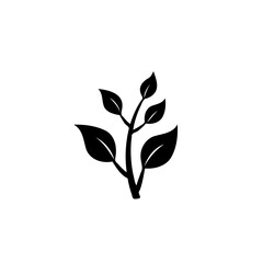 Elegant botanical illustration with a sprig featuring stylized leaves design