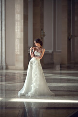 young fragile brunette girl. bride in a luxurious wedding dress in a chic interior with beautiful sunlight from the windows wedding hairstyle and makeup. photo for wedding salt, beauty salon