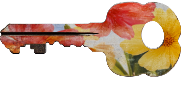 Floral Key, Red, Yellow Flowers Pattern, Colorful Object, cut out transparent - Powered by Adobe