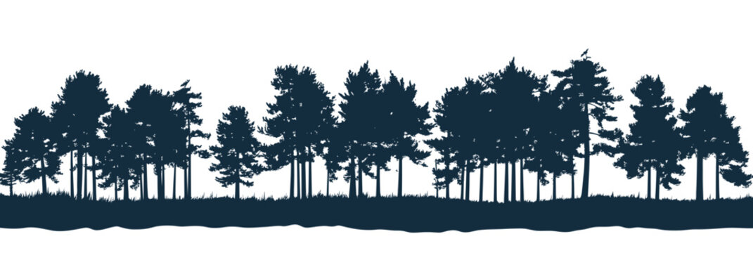 Panoramic silhouette of dense pine forest trees in navy blue minimalist flat vector style isolated on white background with grass ground line and varied evergreen conifers