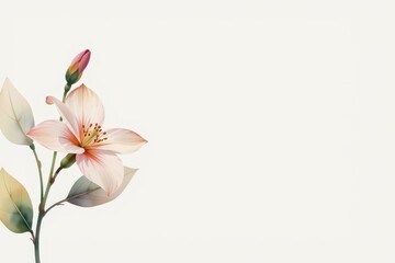 Naklejka premium watercolor clipart illustration of a delicate flower on the left side, with a clean white background, ample copy space on the right for text or design elements.