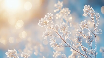Frost Covered Branches Winter Wonderland Scene Pastel Blue Background Sunlight Bokeh