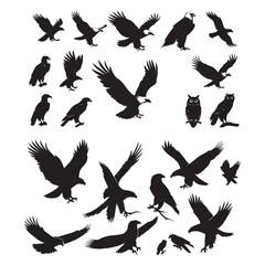 Fototapeta premium Set of black bird' vector icon silhouettes isolated on white background