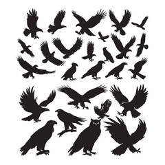 Obraz premium Set of black bird' vector icon silhouettes isolated on white background