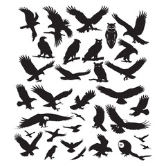 Set of black bird' vector icon silhouettes isolated on white background
