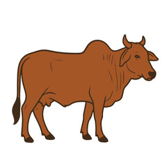 Celebrating Eid al-Adha A Brown Cow Illustration
