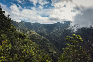View of the jungle in Flores island Indonesia