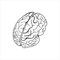 Simple Brain Icon Illustration