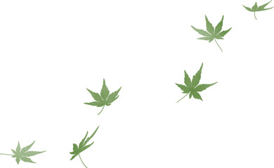 舞う紅葉　水彩　緑