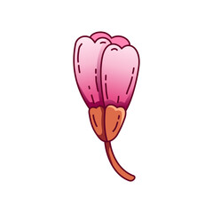illustration a pink sakura flower or cherry blossom 