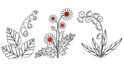 A set of three contour flowers. Vector illustration for card, tille, wall decor