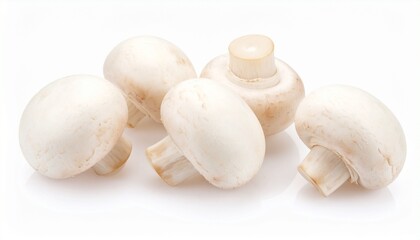 white mushroom isolated on white background