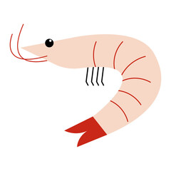 Shrimp prawn