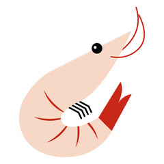 Shrimp prawn