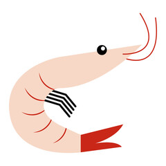 Shrimp prawn
