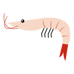 Shrimp prawn