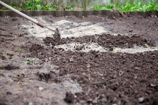 Loosening the soil with a rake and deoxidizing the soil with dolomite flour in the garden in spring, close-up. Copy space for text, neutralizing soil