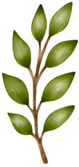 Green leaf bouquet, watercolor style
