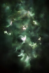 Esoteric Scene of Buttefly Hand Moves