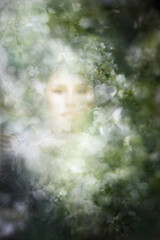 Soft Hortensia Petals Portrait