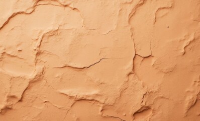 Textured orange wall with cracks, creating an earthy and warm aesthetic.