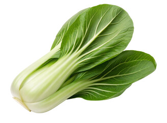 Crisp Green Bok Choy with Leaves on Transparent Background.