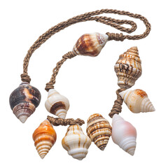 Trendy Rustic Shell Necklace with Assorted Natural Isolated on Transparent Background