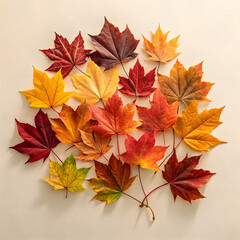 Beautiful display of colorful autumn maple leaves arranged artfully on a light neutral background, showcasing hues of red, orange, yellow, and green, capturing seasonal beauty and the essence of fall.