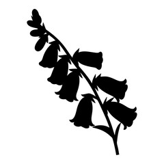 Silhouette of foxglove plant showing bell shaped flowers on a stem © Shimu Studio
