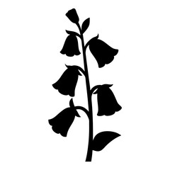 Silhouette of a Blooming Foxglove Plant with BellShaped Flowers on a Stem © Shimu Studio