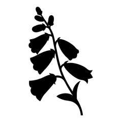 Striking silhouette of a Foxglove plant in full bloom isolated © Shimu Studio