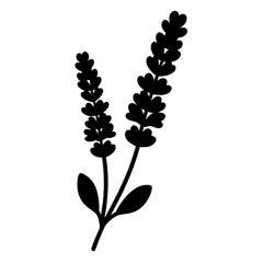 Stylized black lavender sprigs botanical illustration on a clean white background © Shimu Studio