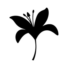 Monochrome Lily flower illustration with petals, stem, and reproductive structures presented graphically