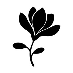 Black and white botanical illustration featuring a single flower in bloom